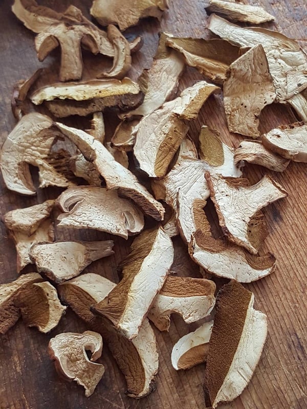 Porcini mushrooms