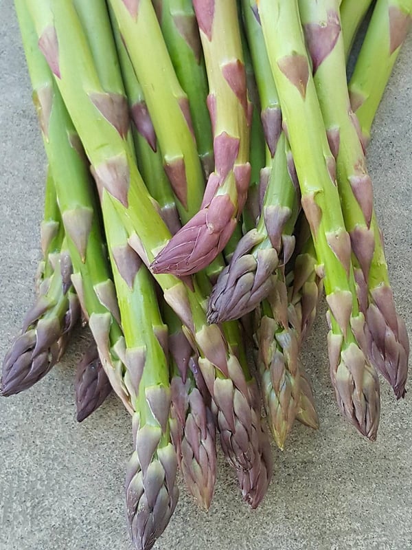 Asparagus