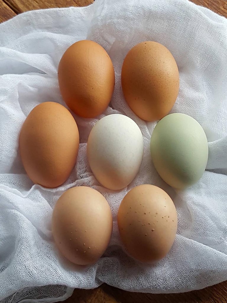 Frittata with Peas & Ricotta|Spiced Persian Burghul|Spiced Persian Burghul|Spiced Persian Burghul|Eggs