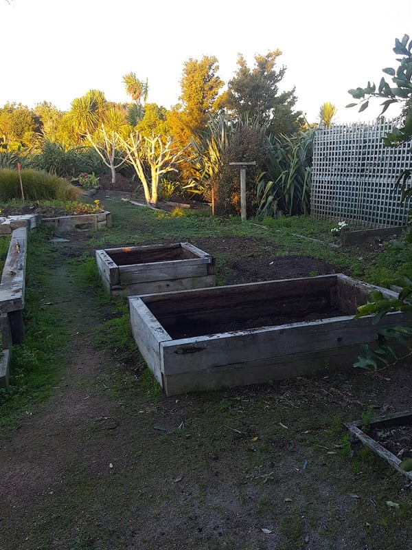 Empty garden