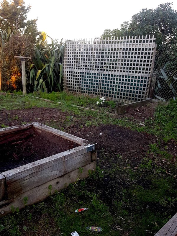 The trellis can stay