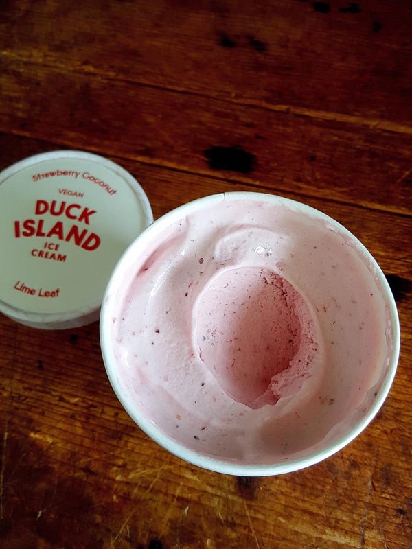 Vegan Ice Cream? Yessss!