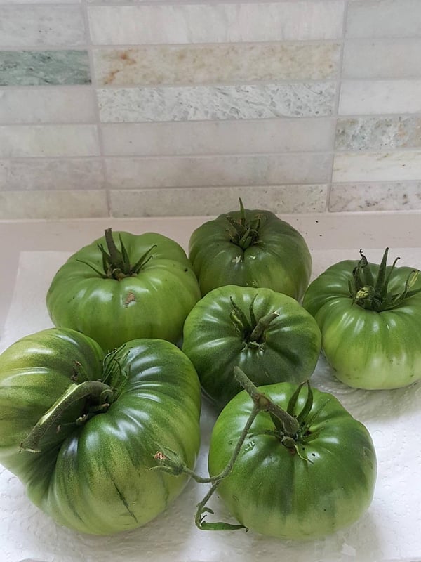 Green tomatoes