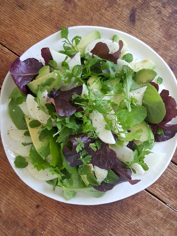 Alligator Salad