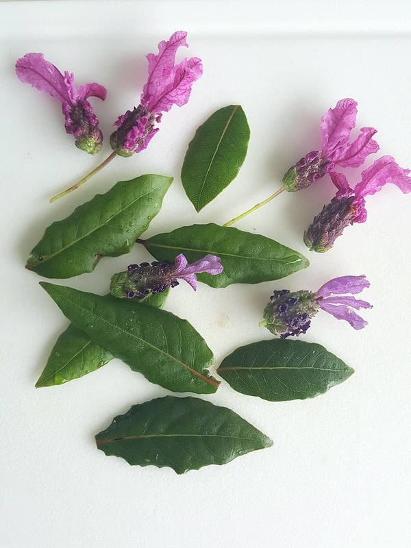 Baked Fruit with Lavender Petals