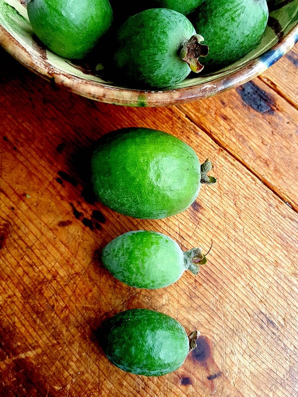 Feijoas