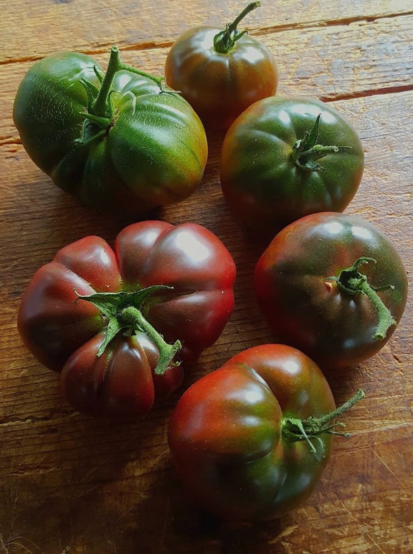 Tomatoes