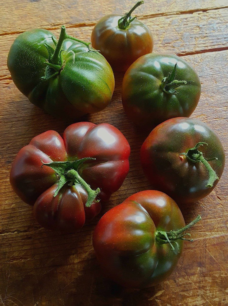 Tomatoes