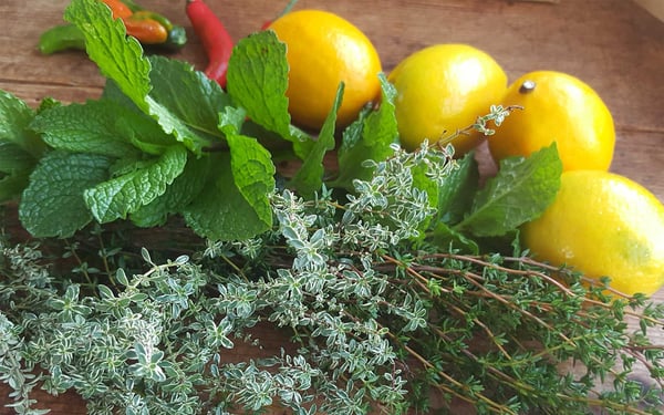 Herbs