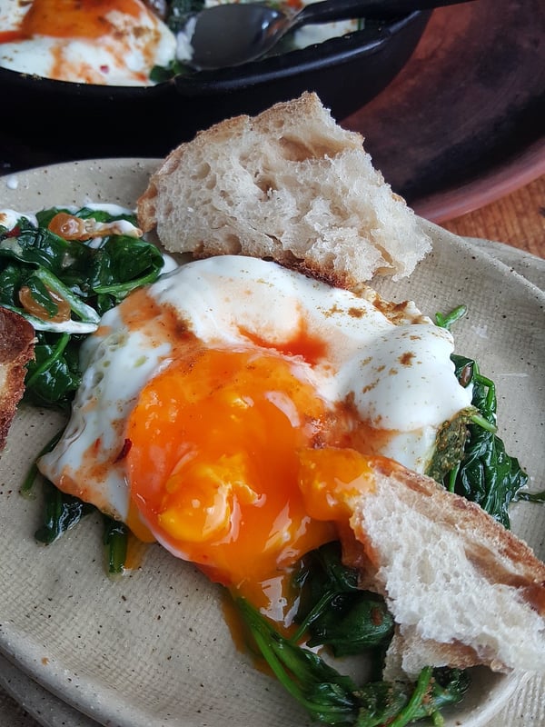 The Sultan's Eggs. Dig in!