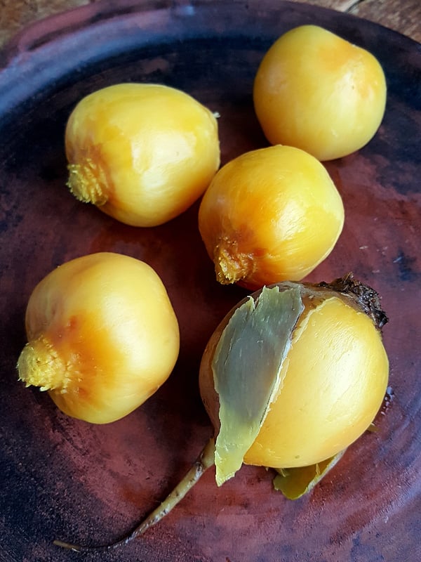 Golden beetroot.