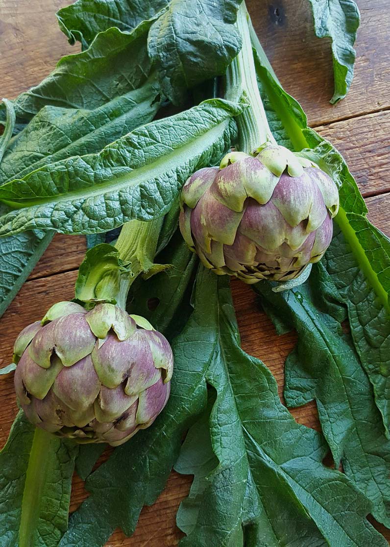 Artichokes