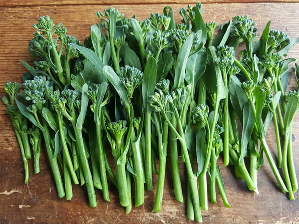 Broccoli