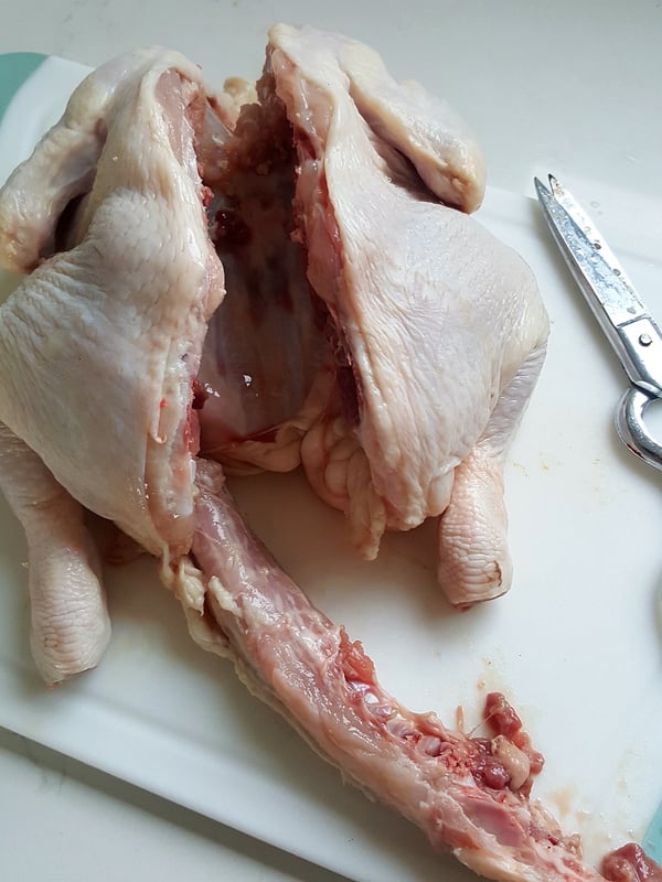 Spatchcocking a chicken.
