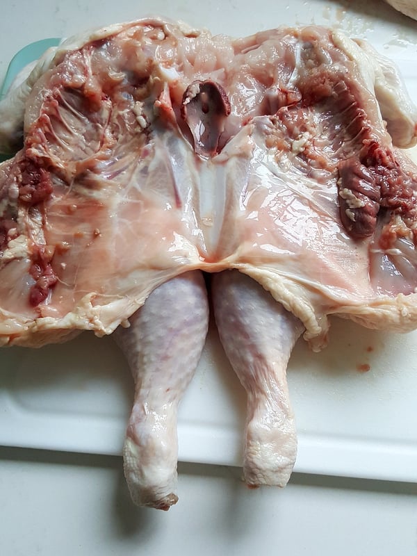 Spatchcocking a chicken.