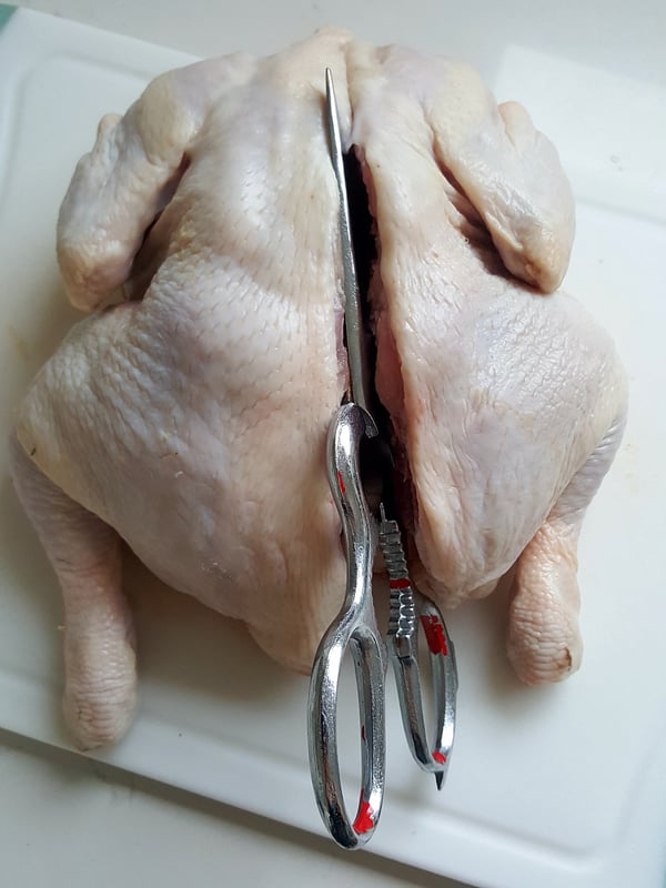 Spatchcocking a chicken