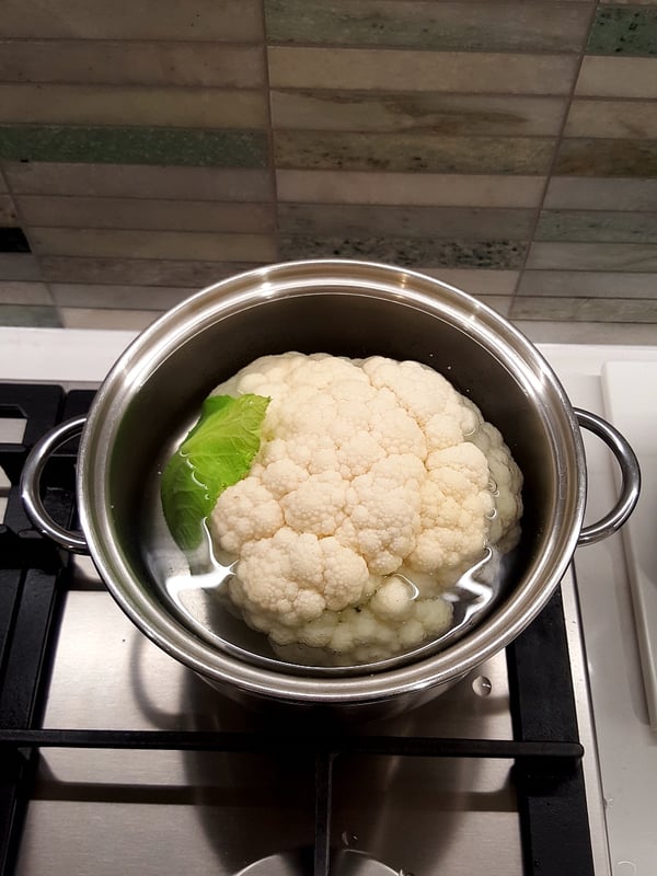 Pot too small