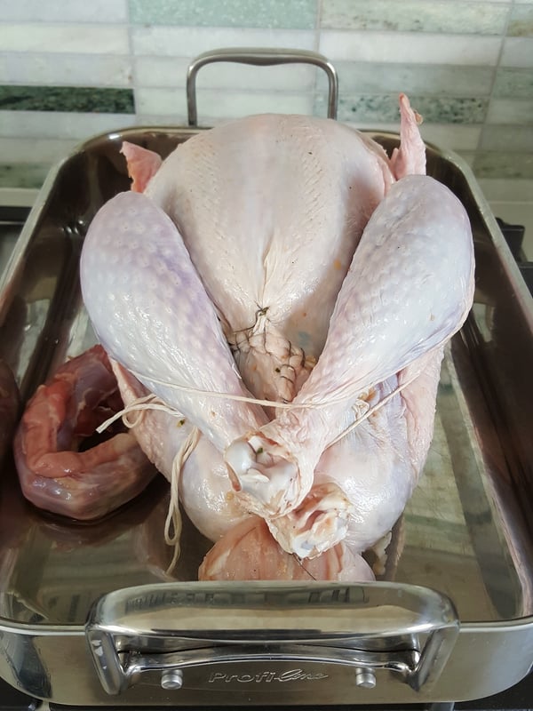 Trussed turkey