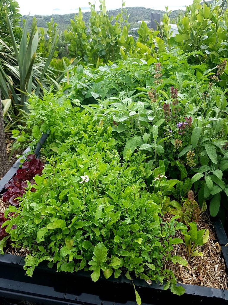 Vegepod