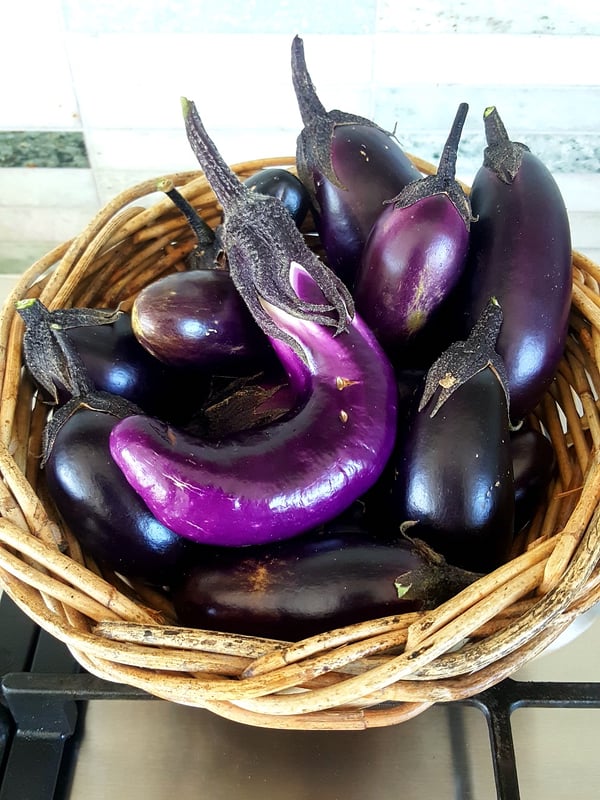 Eggplants