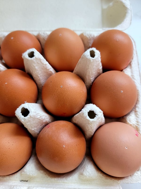 Eggs pricked!