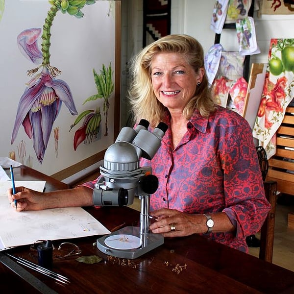 Sue Wickison