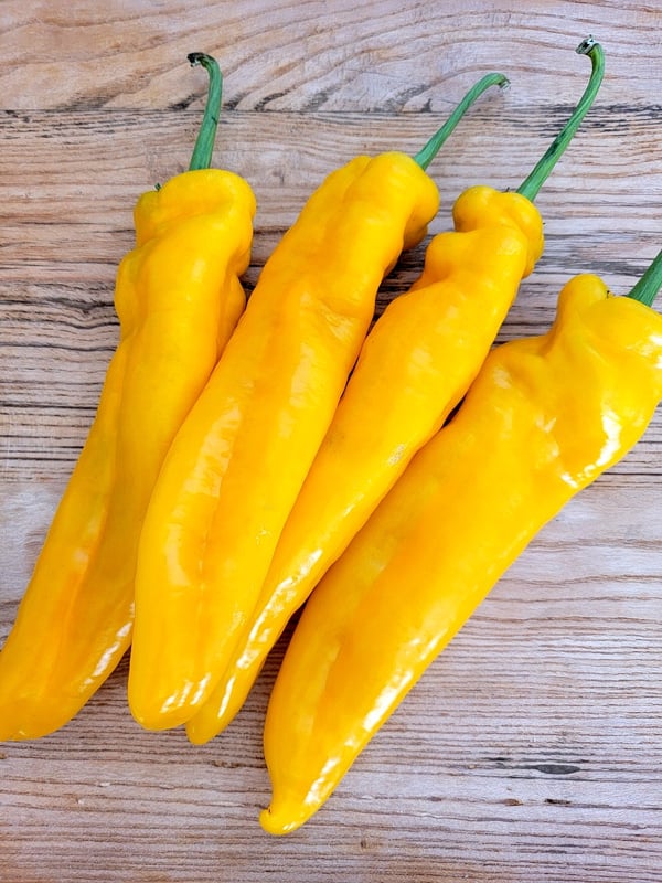 Palermo (beak-shaped) peppers