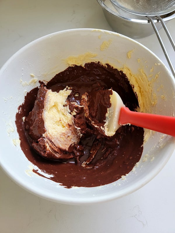 Chocolate Cake with Hazelnut Topping