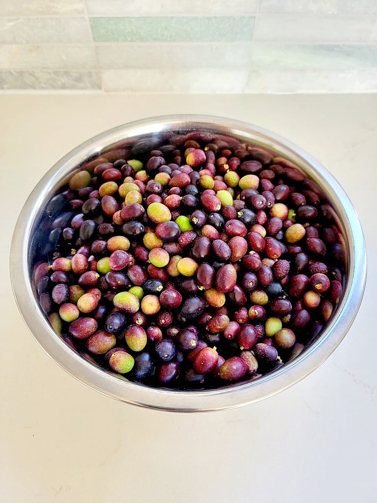 Brining olives