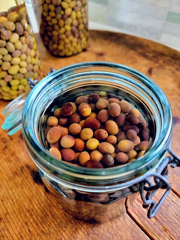 Brining olives.