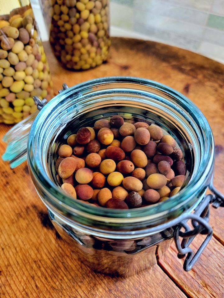 Brining olives.