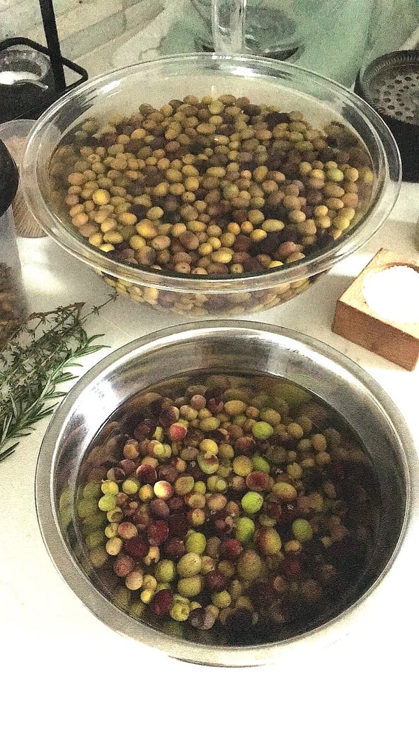 Soaking olives