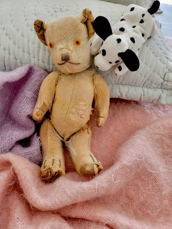 Teddy