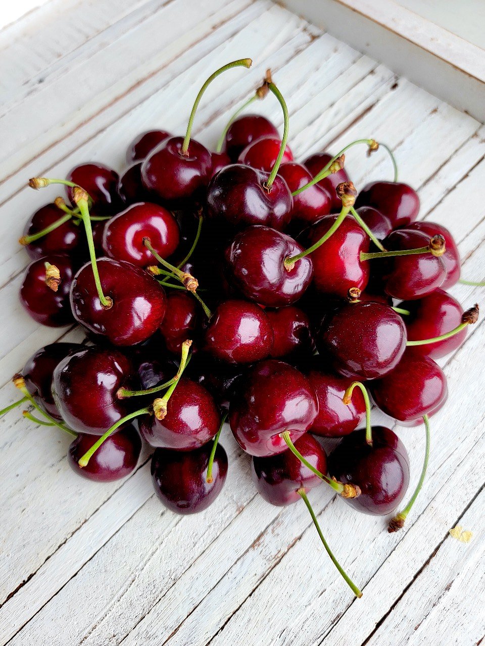 Cherries
