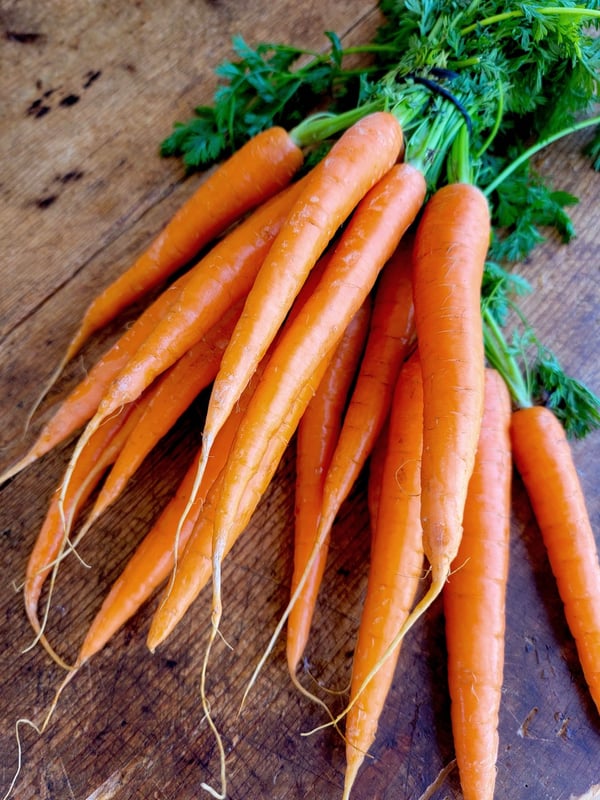Carrots!