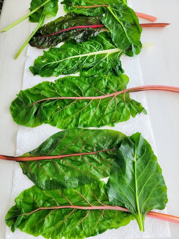 Isanna's Spinach Tort