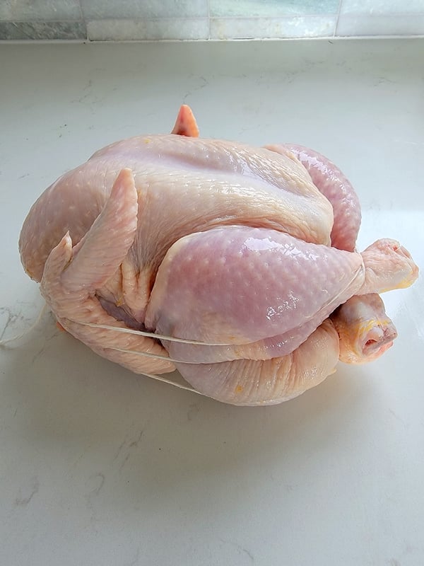 Pot Roasted Chicken