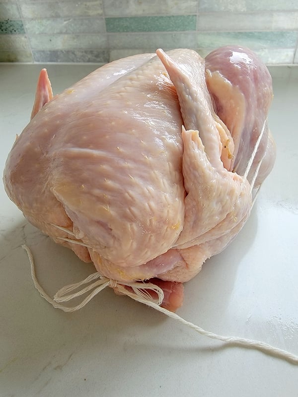 Pot Roasted Chicken