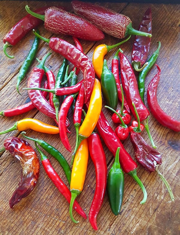 Chillies