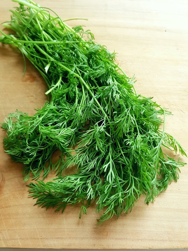 Dill