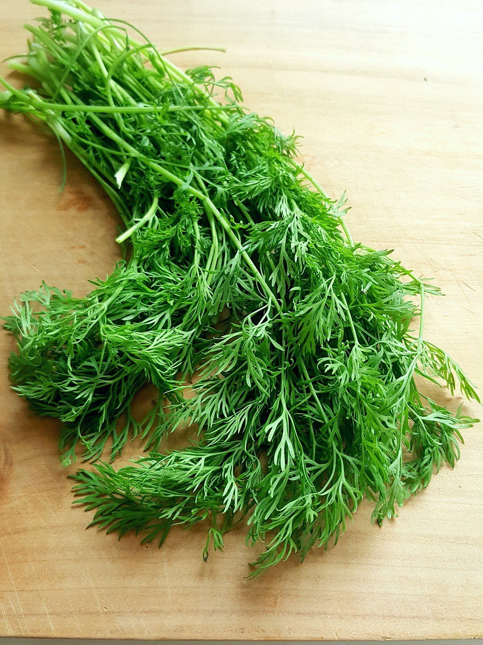 Dill