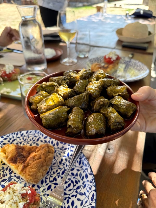 Marina's dolmades