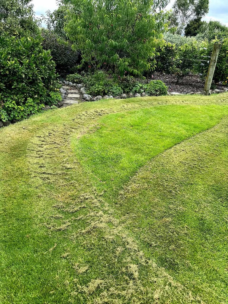 Mowing