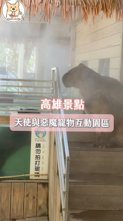 介紹寵物餐廳景點