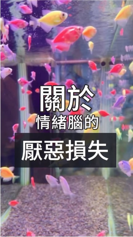 林亞璇
