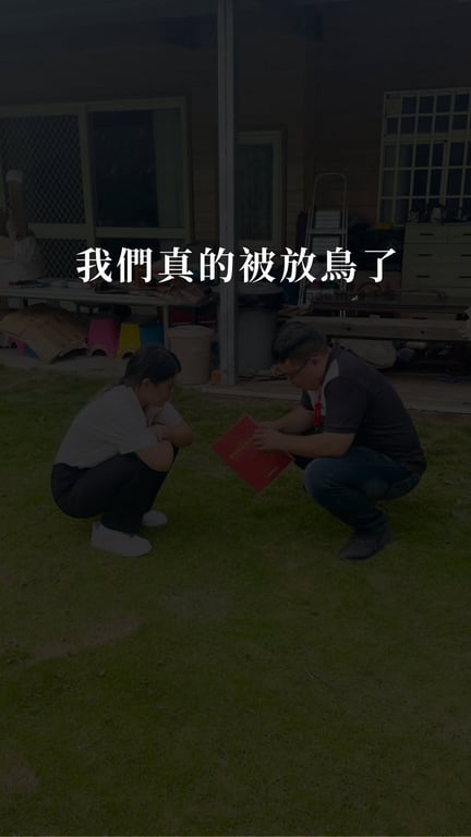芳綺