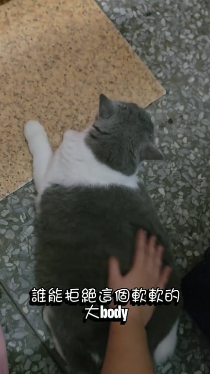 Ziqi