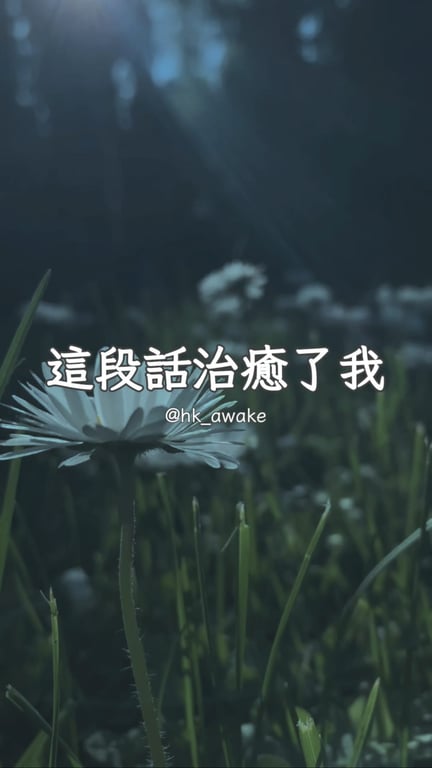 我們總是在羨慕別人的時鐘，卻忘了每個人都有屬於自己的花期。 人生本就沒有既定的軌道，它是一片沒有邊界的曠野。 不用去追趕別人的步伐，也不用為自己的落後感到焦慮。 細嚼慢嚥地去體會當下的生活，才是對生命最好的尊重。 只要你走在自己熱愛的路上，每一步，都是最好的時光。