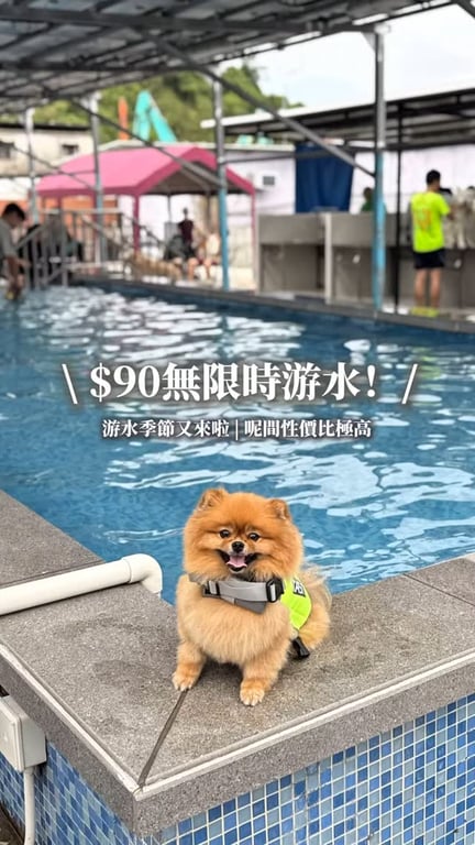 $90就可以無限時同隻狗狗游水！