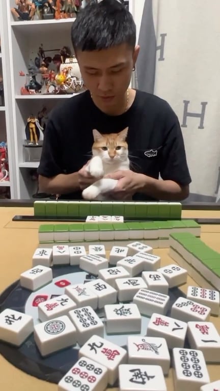 寵物搞笑